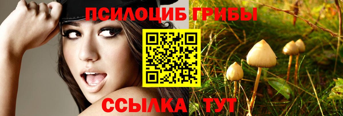 Галлюциногенные грибы Magic Shrooms  Вышний Волочёк 