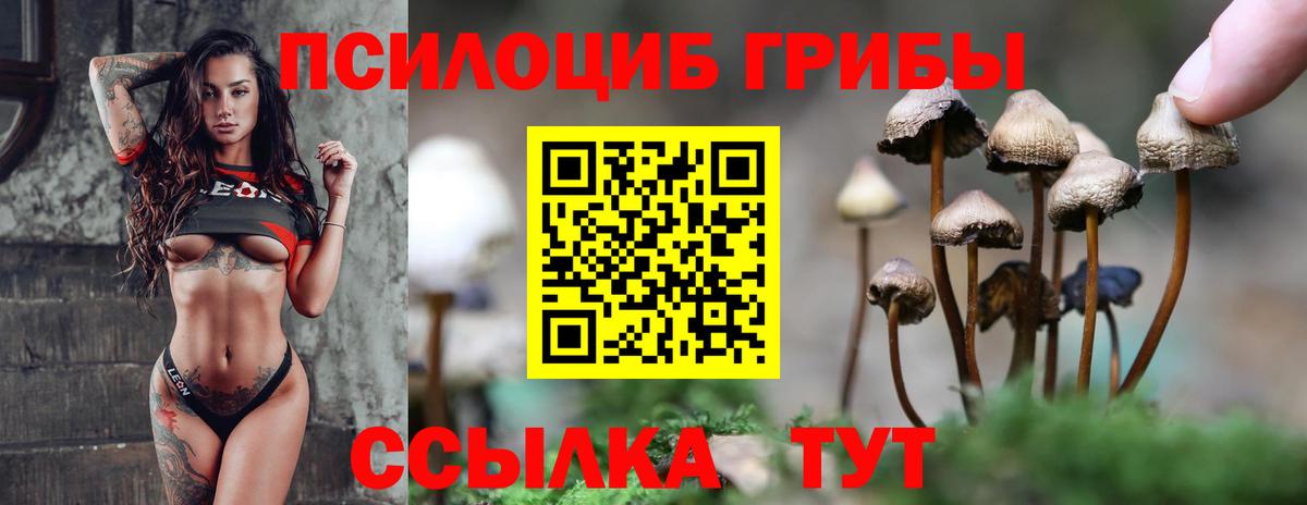 Псилоцибиновые грибы прущие грибы  Вход с VPN  Вышний Волочёк 