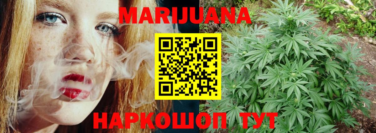 Каннабис OG Kush Вышний Волочёк